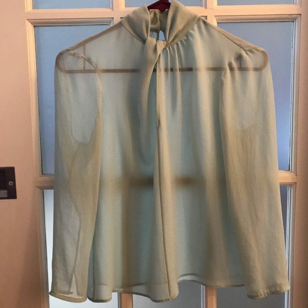 Top Shop Mint Green Sheer Blouse